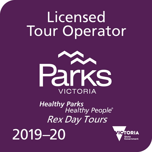 墨爾本旅遊 2019-20 Tour Operator Licence
