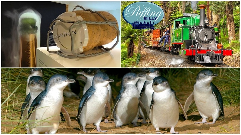 墨爾本亞拉河谷酒莊+蒸汽火車+企鵝保育中心