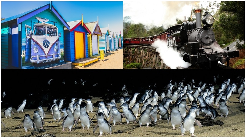 墨爾本彩色小屋+蒸汽火車+企鵝島