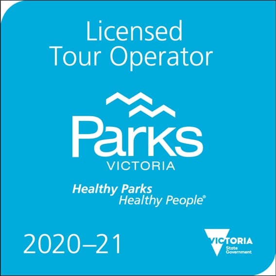 墨爾本旅遊 2019-21 Tour Operator Licence