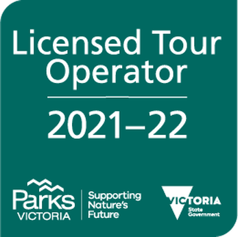 墨爾本旅遊 2021-22 Tour Operator Licence