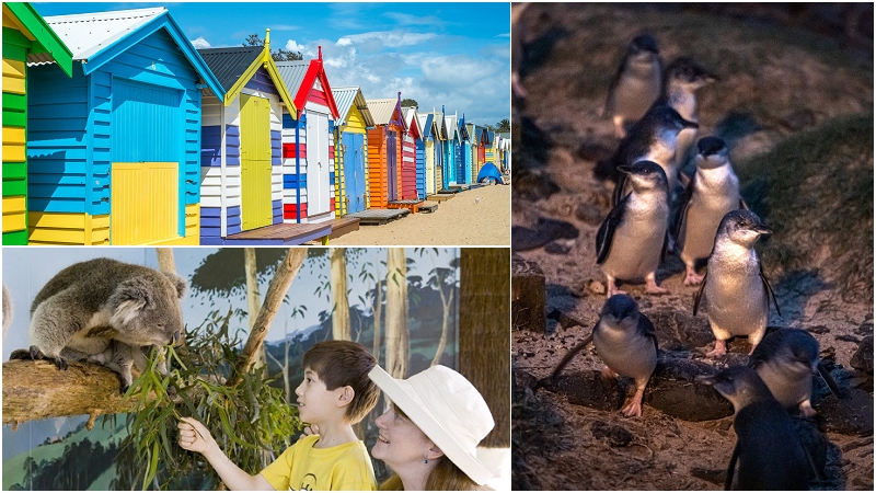 【墨爾本旅遊行程】彩色小屋+Maru野生動物園+菲利浦島企鵝