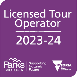 墨爾本旅遊 2023-24 Tour Operator Licence